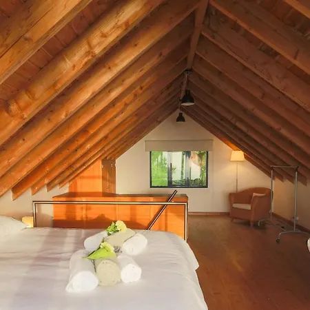 Oceanview Relaxing 3* Mosteiros (Azores)